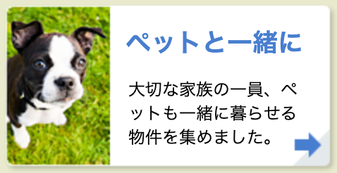 ペットと一緒に
