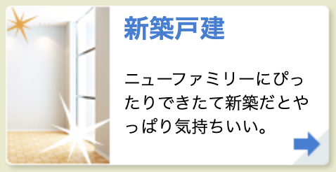 新築戸建